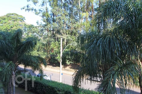 Image 40 - 251846